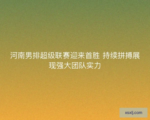 河南男排超级联赛迎来首胜 持续拼搏展现强大团队实力