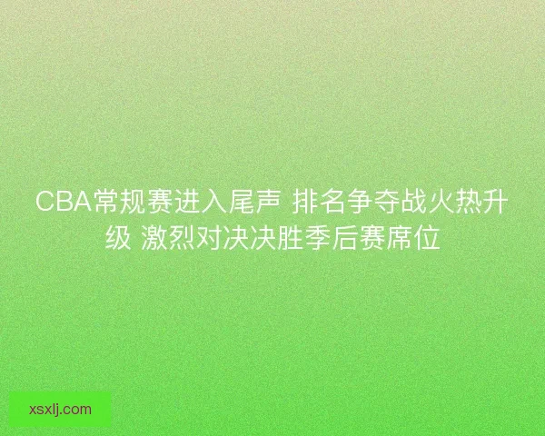 CBA常规赛进入尾声 排名争夺战火热升级 激烈对决决胜季后赛席位