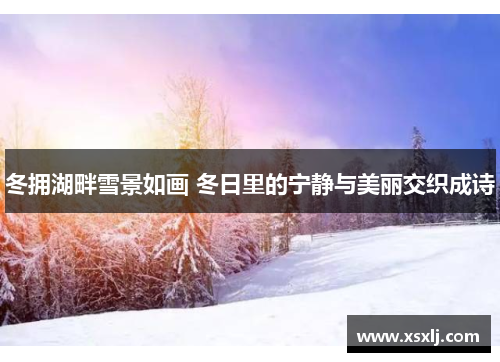 冬拥湖畔雪景如画 冬日里的宁静与美丽交织成诗